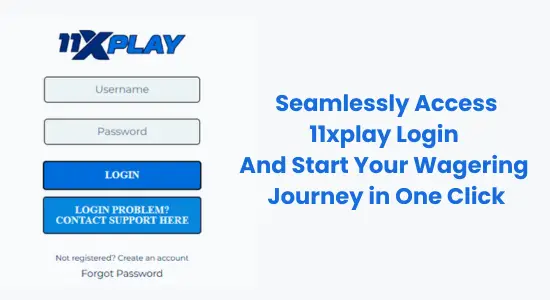 seamless 11xplay login